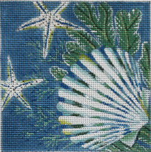 Load image into Gallery viewer, Banded Tulip Shell Coaster - SH 1836
