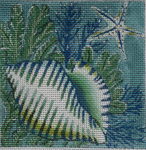 Load image into Gallery viewer, Banded Tulip Shell Coaster - SH 1836
