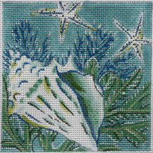 Load image into Gallery viewer, Banded Tulip Shell Coaster - SH 1836
