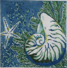 Load image into Gallery viewer, Banded Tulip Shell Coaster - SH 1836
