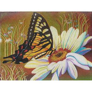 Butterfly and Daisy -- In stock on 13 mesh only