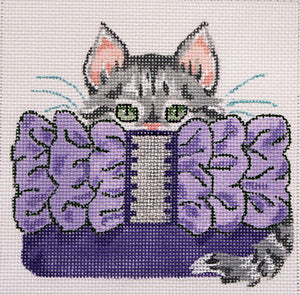 Grey Kitten In Purple Clutch