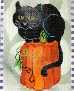 Black Cat Perches On Pumpkin